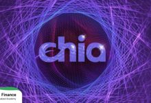 ارز دیجیتال چیا