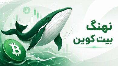 نهنگ بیت کوین
