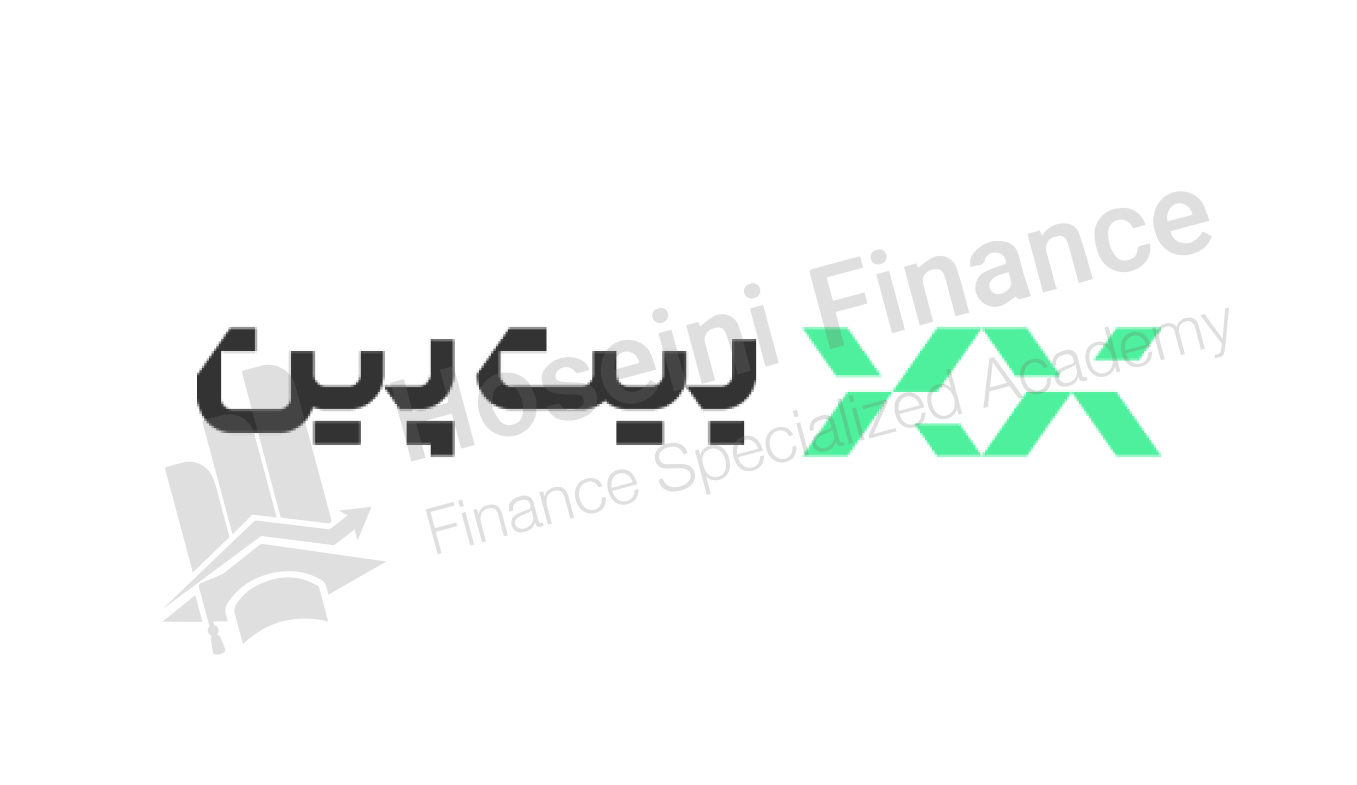 صرافی ایرانی بیت پین