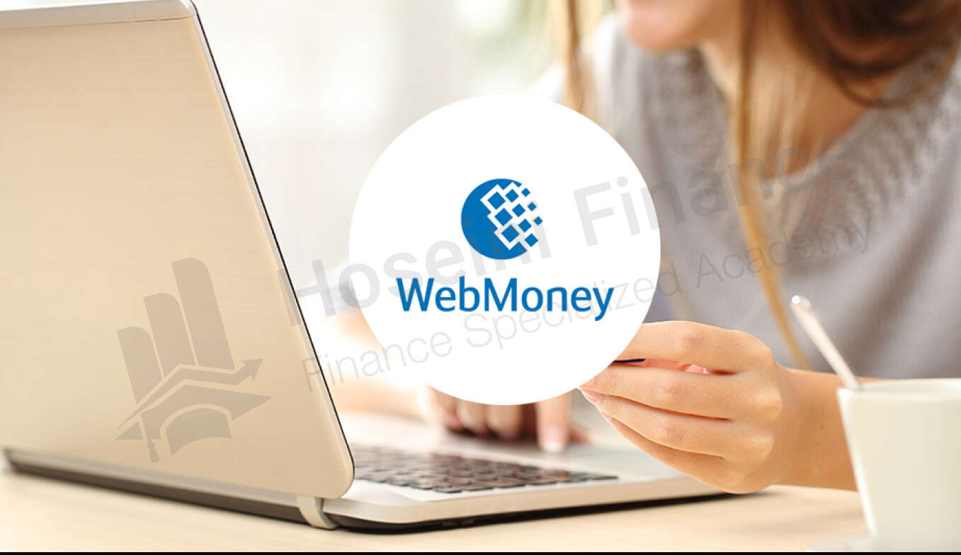 انواع کیف پول برای وب مانی