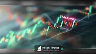 فیک برک اوت چیست؟