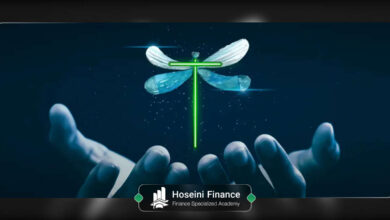 معرفی کندل دوجی سنجاقک