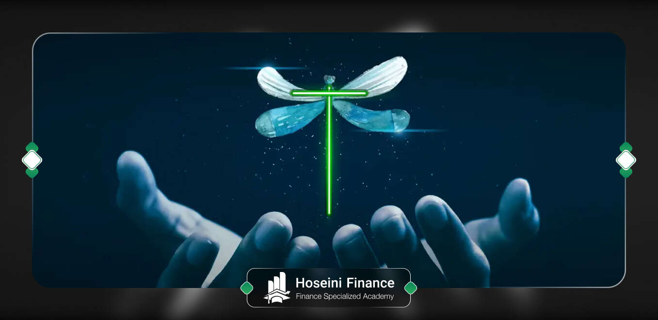 معرفی کندل دوجی سنجاقک